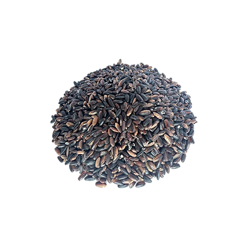 黑糯米